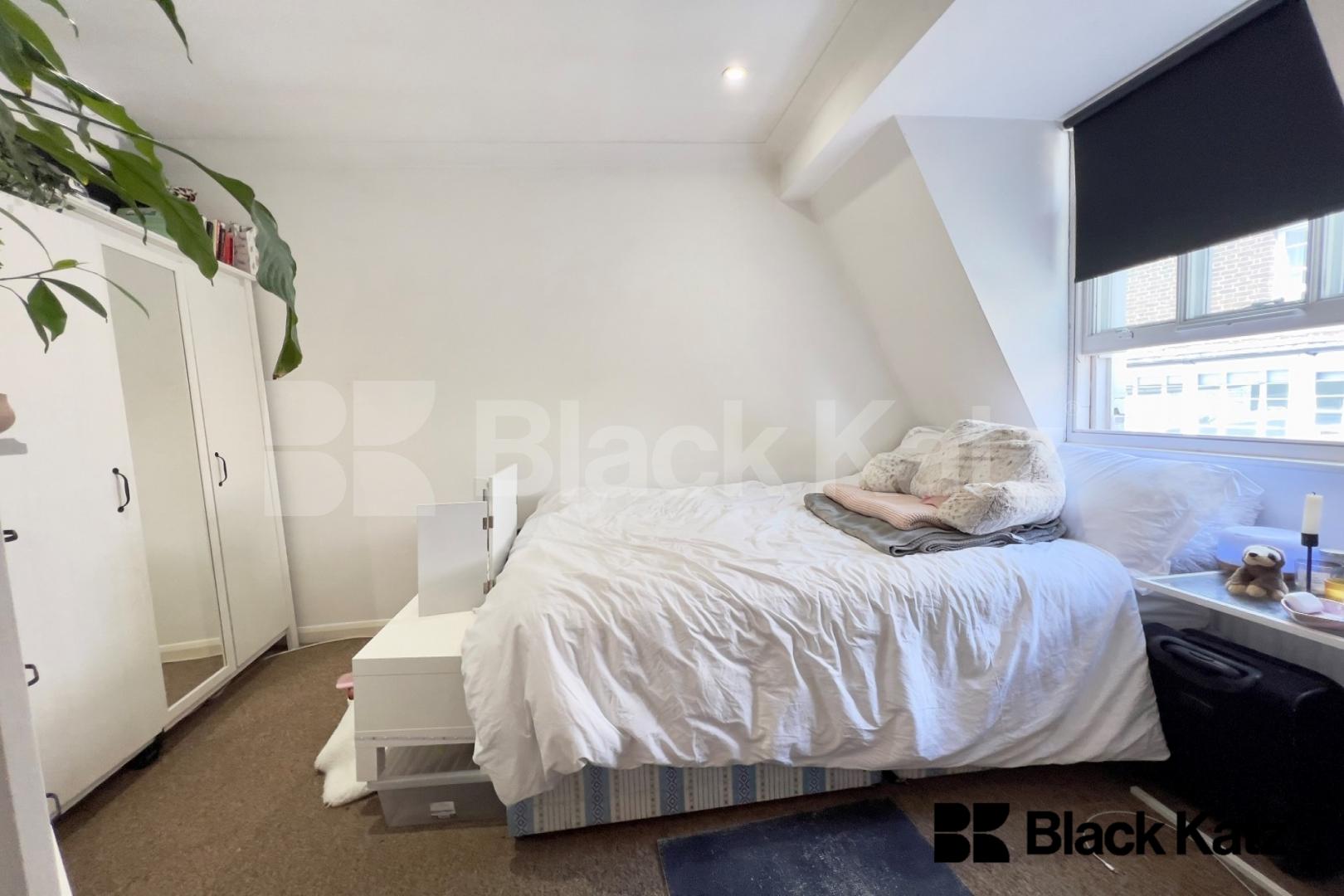 Charming duplex three bedroomed two bathroomed period conversion Union Street, London Bridge